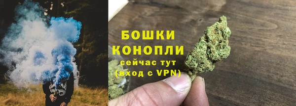 прущая мука Богданович