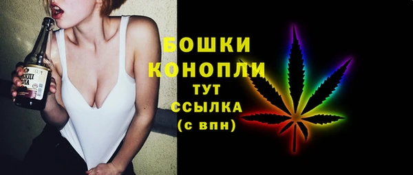 PSILOCYBIN Богородск