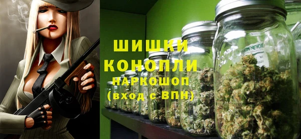 PSILOCYBIN Богородск
