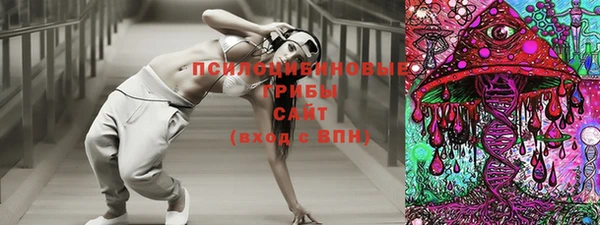 прущая мука Богданович