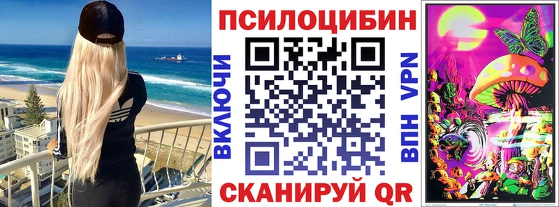 Купить Новомичуринск Галлюциногенные грибы MAGIC MUSHROOMS